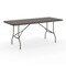 Emma and Oliver 6-Foot Bi-Fold Plastic Banquet and Event Folding Table with Handle